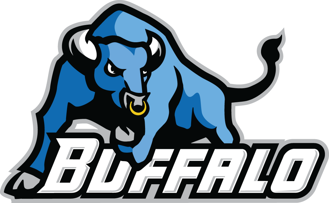 Buffalo Bulls 2012-Pres Secondary Logo diy iron on heat transfer